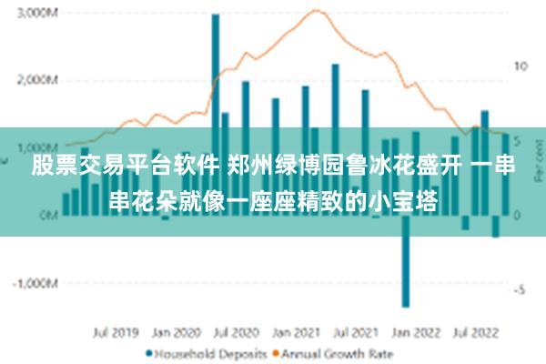 股票交易平台软件 郑州绿博园鲁冰花盛开 一串串花朵就像一座座精致的小宝塔