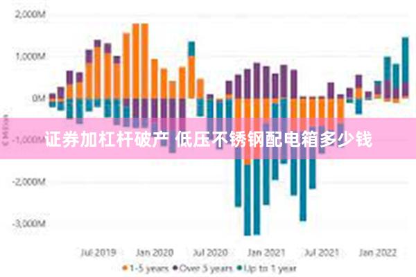 证券加杠杆破产 低压不锈钢配电箱多少钱