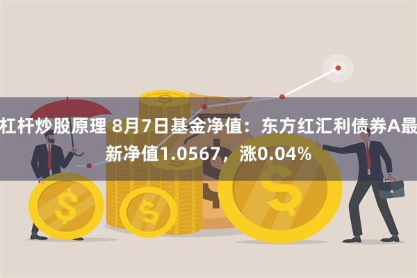 杠杆炒股原理 8月7日基金净值：东方红汇利债券A最新净值1.0567，涨0.04%