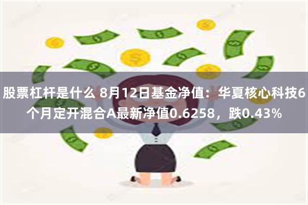 股票杠杆是什么 8月12日基金净值：华夏核心科技6个月定开混合A最新净值0.6258，跌0.43%