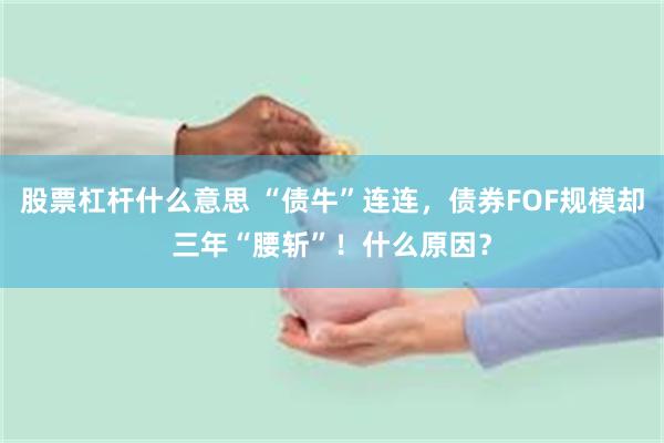 股票杠杆什么意思 “债牛”连连，债券FOF规模却三年“腰斩”！什么原因？