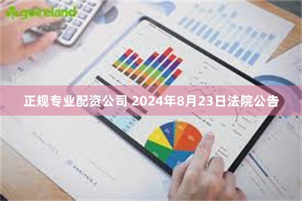 正规专业配资公司 2024年8月23日法院公告