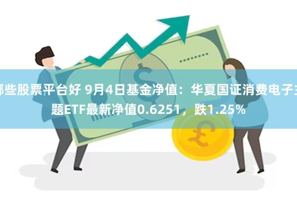 哪些股票平台好 9月4日基金净值：华夏国证消费电子主题ETF最新净值0.6251，跌1.25%