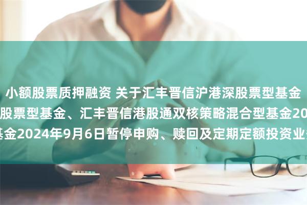 小额股票质押融资 关于汇丰晋信沪港深股票型基金、汇丰晋信港股通精选股票型基金、汇丰晋信港股通双核策略混合型基金2024年9月6日暂停申购、赎回及定期定额投资业务公告20240907