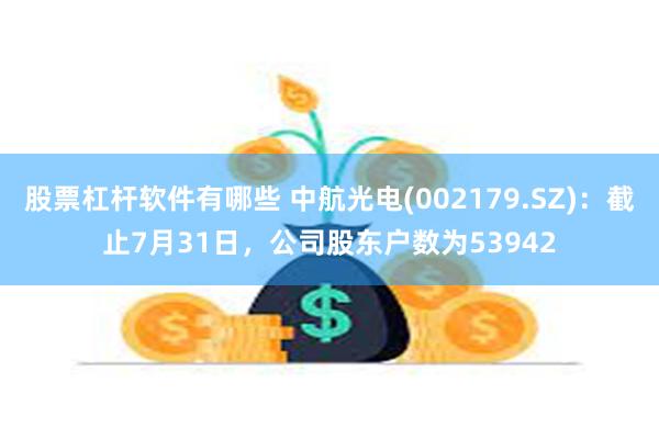 股票杠杆软件有哪些 中航光电(002179.SZ)：截止7月31日，公司股东户数为53942