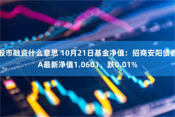 股市融资什么意思 10月21日基金净值：招商安阳债券A最新净值1.0601，跌0.01%