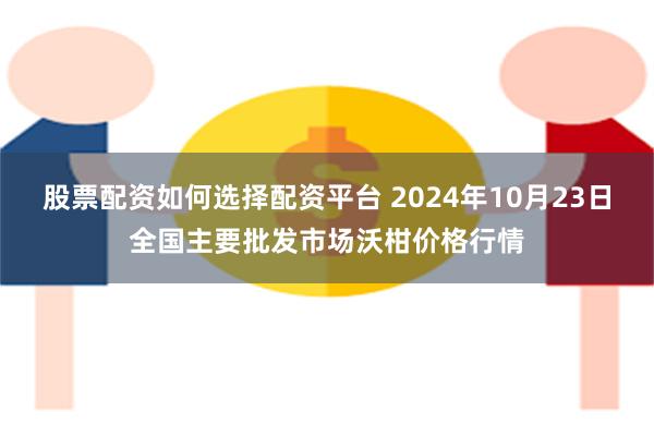 股票配资如何选择配资平台 2024年10月23日全国主要批发市场沃柑价格行情