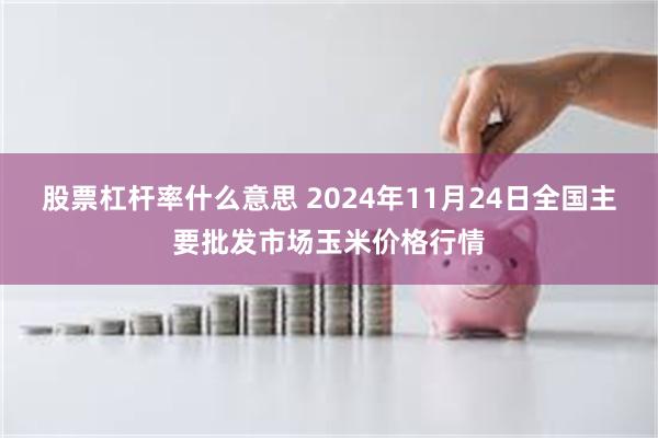 股票杠杆率什么意思 2024年11月24日全国主要批发市场玉米价格行情