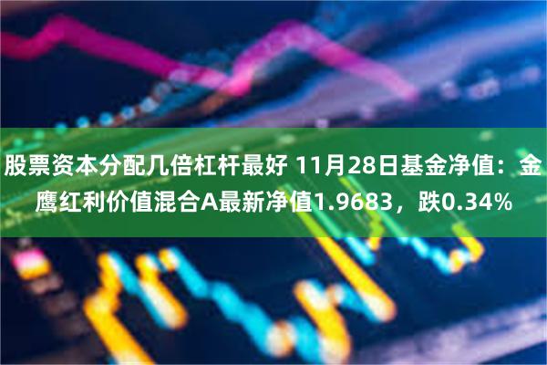 股票资本分配几倍杠杆最好 11月28日基金净值：金鹰红利价值混合A最新净值1.9683，跌0.34%