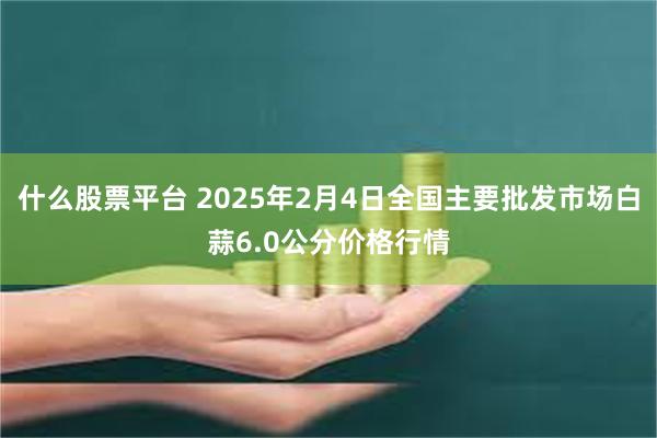 什么股票平台 2025年2月4日全国主要批发市场白蒜6.0公分价格行情