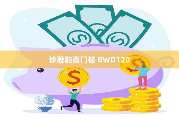 炒股融资门槛 BWD120