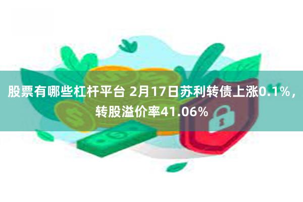 股票有哪些杠杆平台 2月17日苏利转债上涨0.1%，转股溢价率41.06%