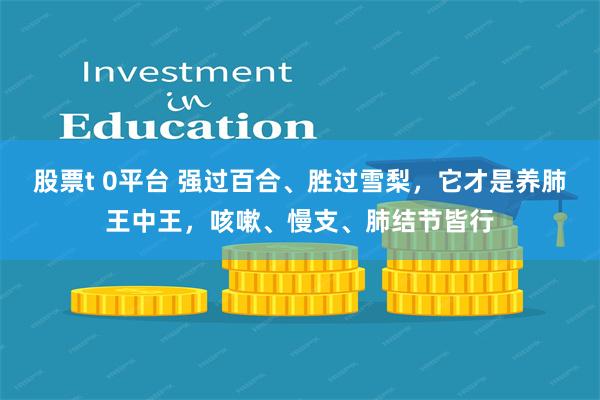 股票t 0平台 强过百合、胜过雪梨，它才是养肺王中王，咳嗽、慢支、肺结节皆行