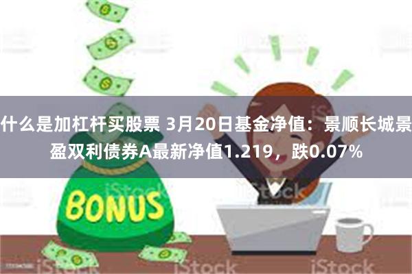 什么是加杠杆买股票 3月20日基金净值：景顺长城景盈双利债券A最新净值1.219，跌0.07%